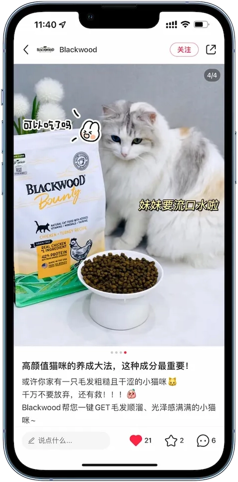 BrightPet - redbook