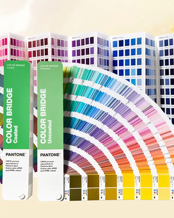 Pantone case study 4